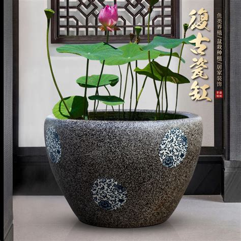 蓮花水缸風水